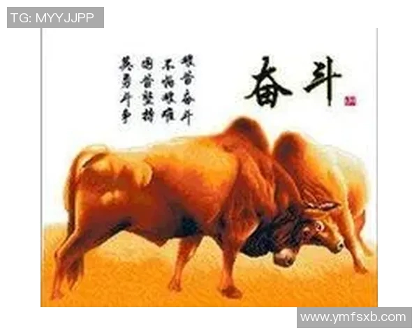 余姚足球球星崛起之路：从草根到职业联赛的奋斗与荣耀